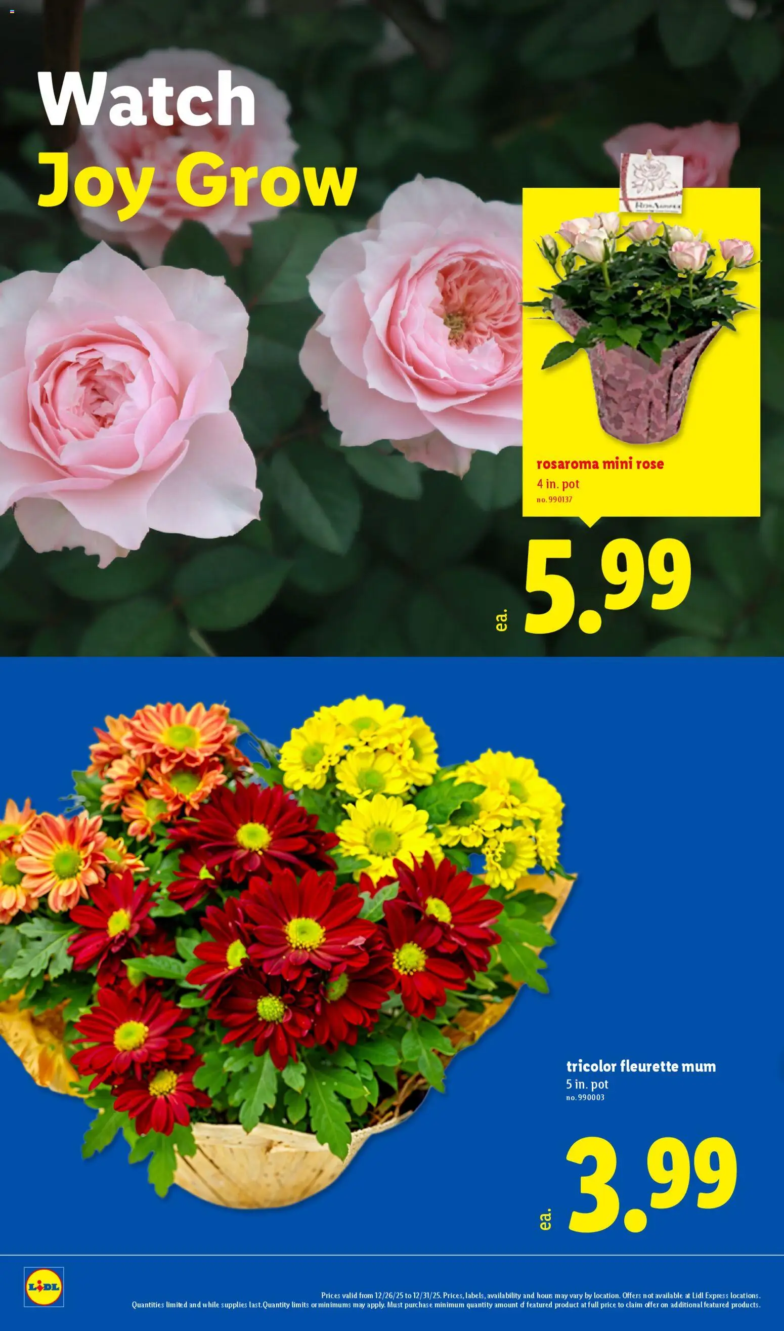 lidl - Lidl Weekly Ad - 12/26 - 12/31 2025 - page: 20