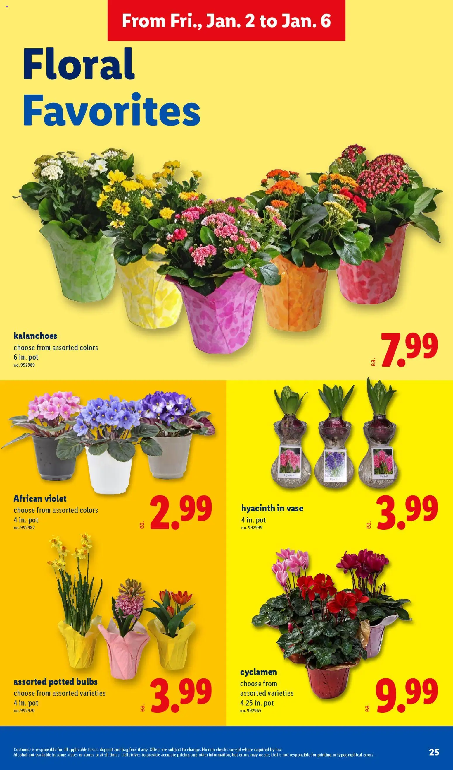 lidl - Lidl Weekly Ad - 01/02 - 01/06 2025 - page: 25