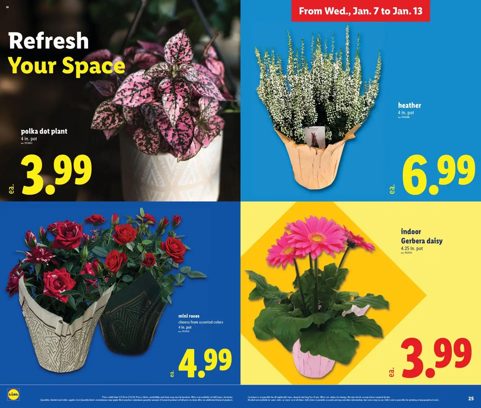 lidl - Lidl Weekly Ad - 01/07 - 01/14 2026 - page: 13