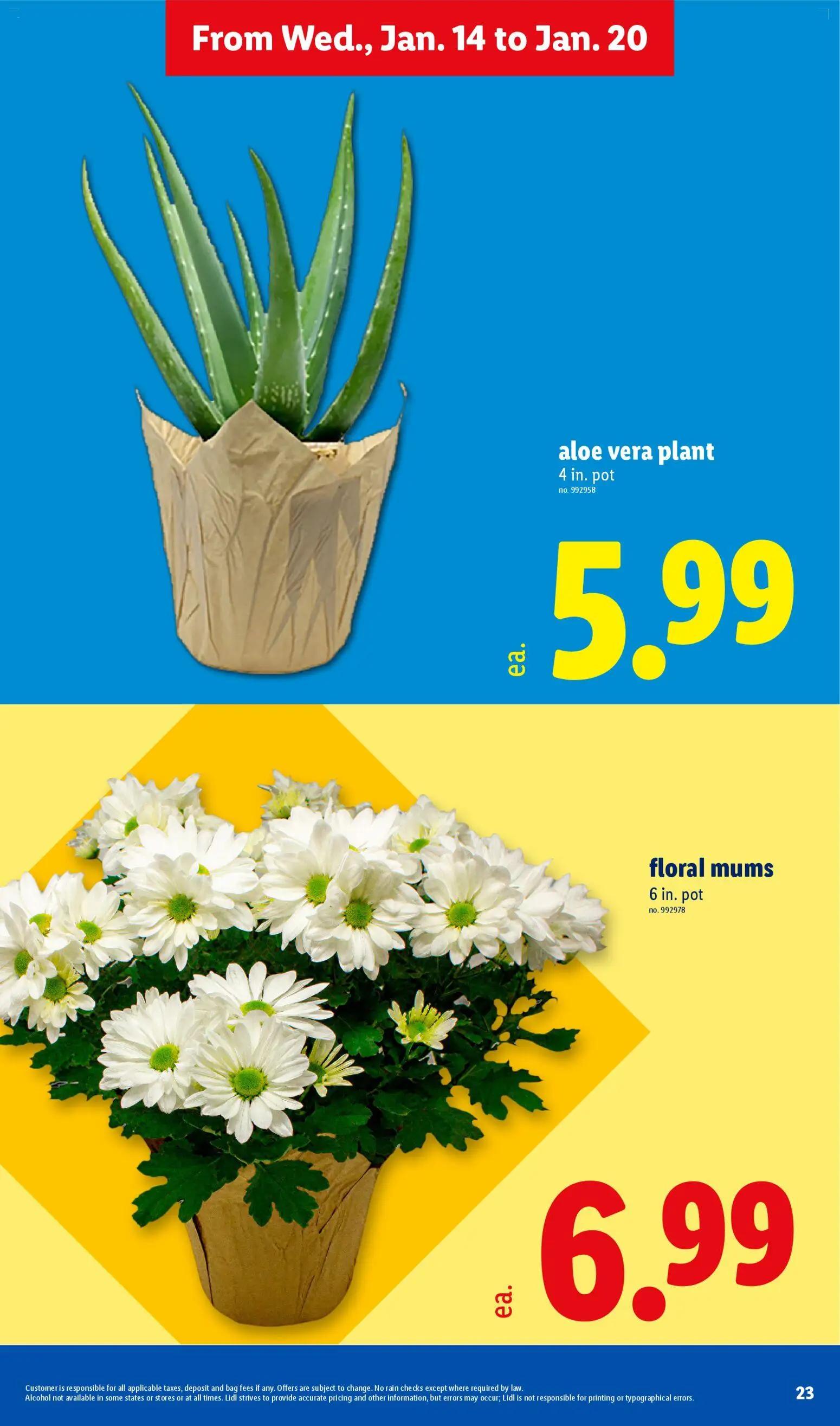 lidl - Lidl Weekly Ad - 01/14 - 01/21 2026 - page: 23