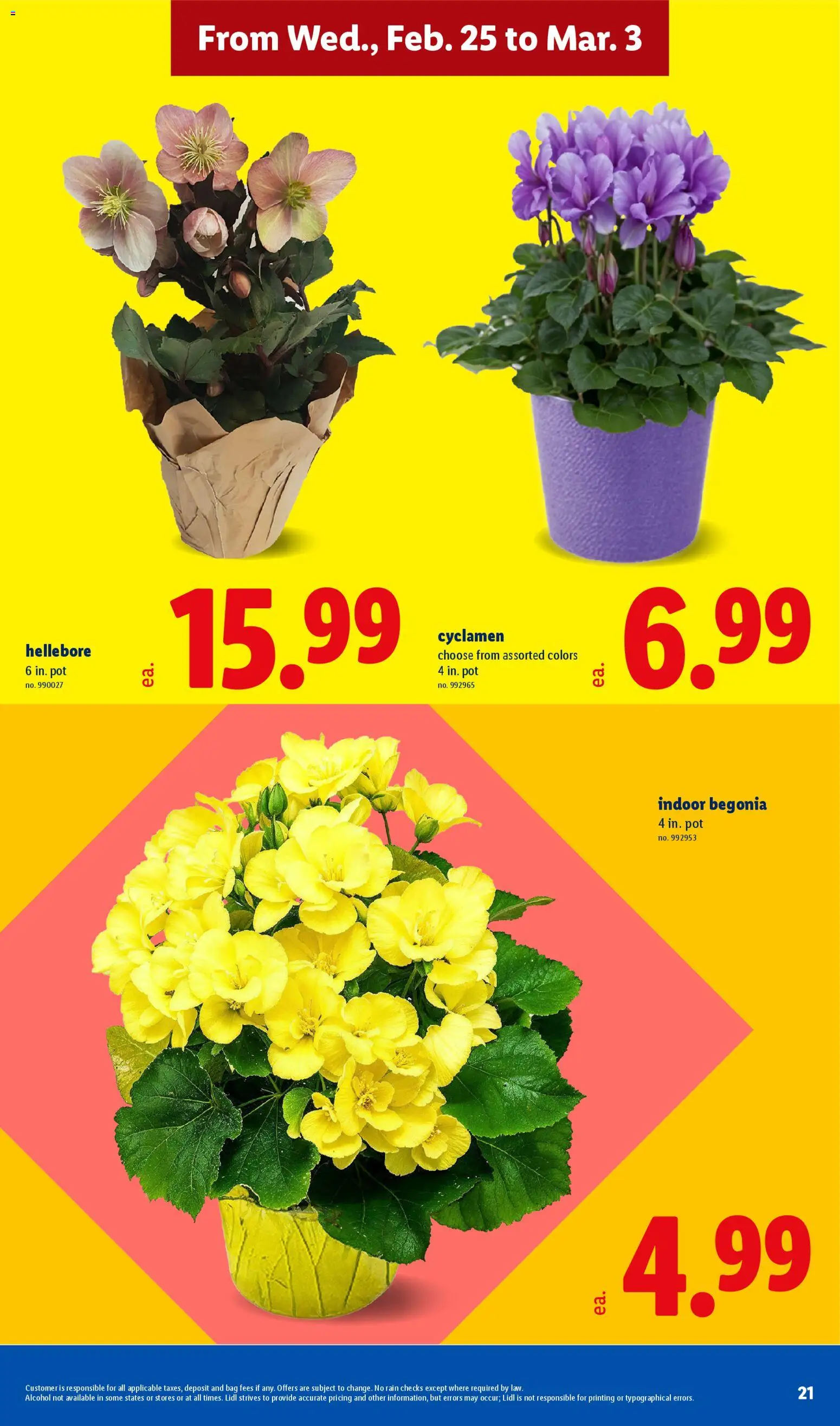 lidl - Lidl Weekly Ad - 02/25 - 03/03 2026 - page: 21