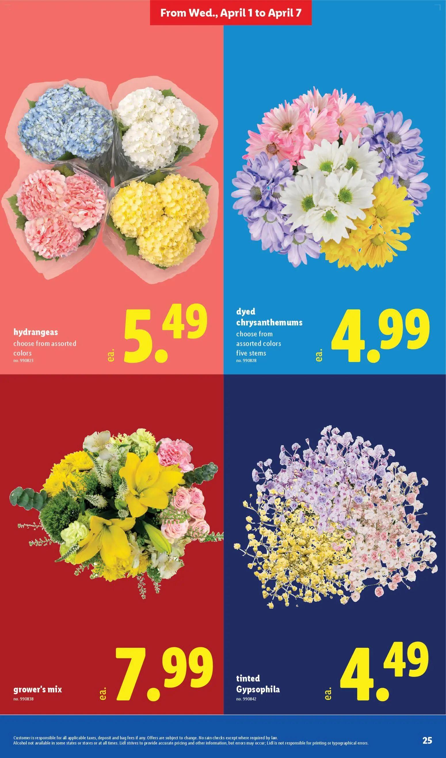 lidl - Lidl Weekly Ad - 04/01 - 05/07 2026 - page: 25