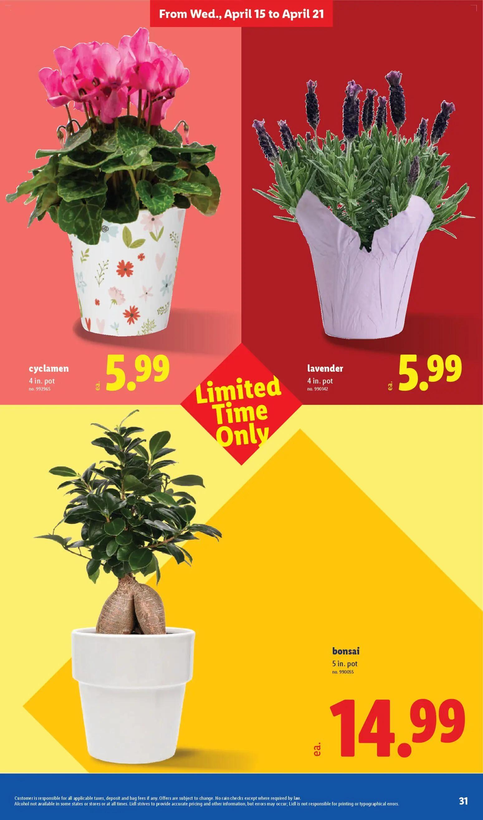 lidl - Lidl Weekly Ad - 04/15 - 04/21 2026 - page: 31