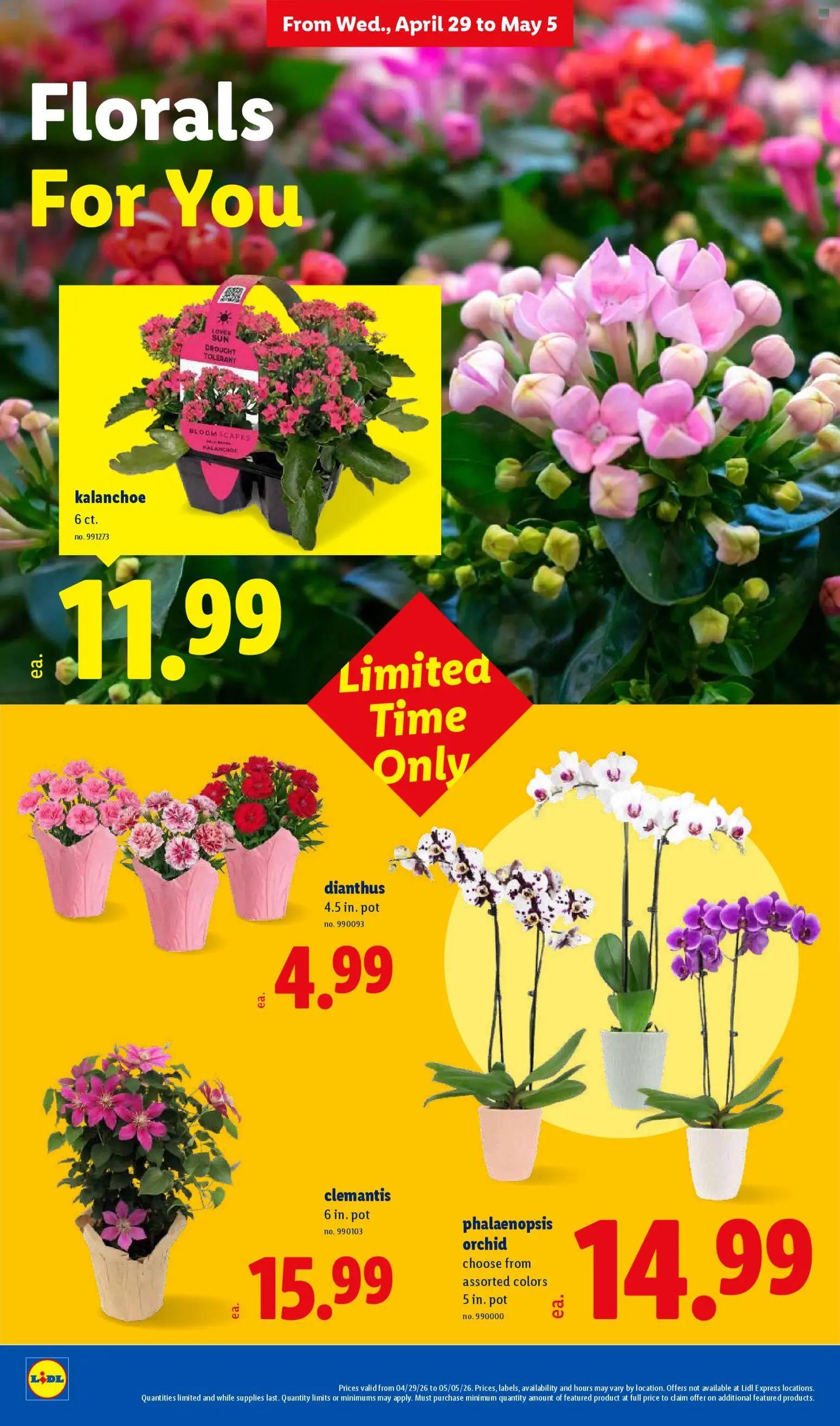 lidl - Lidl Weekly Ad - 04/29 - 05/05 2026 - page: 28