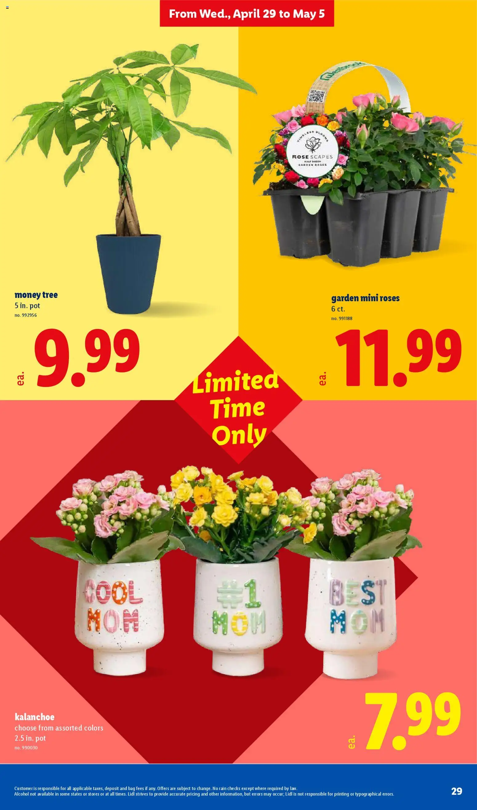 lidl - Lidl Weekly Ad - 04/29 - 05/05 2026 - page: 29