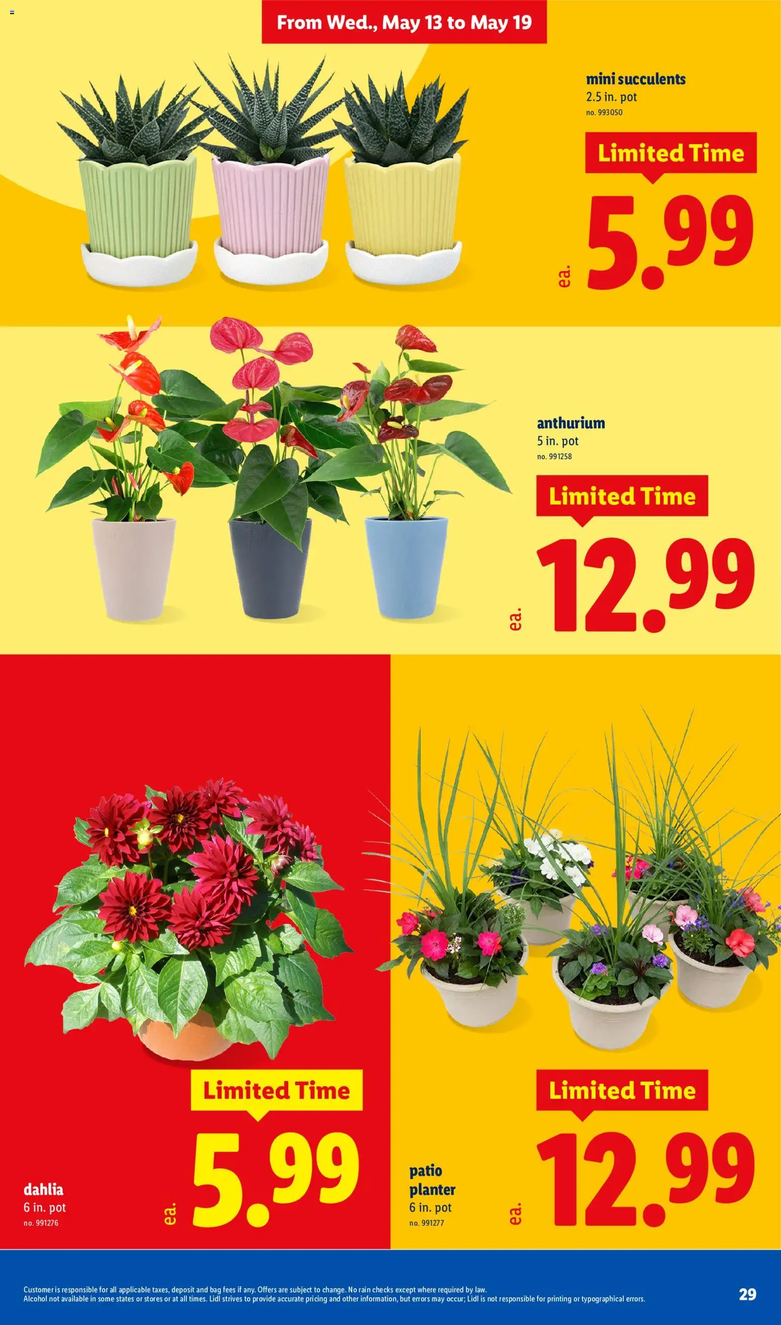 lidl - Lidl Weekly Ad - 05/13 - 05/19 2026 - page: 29