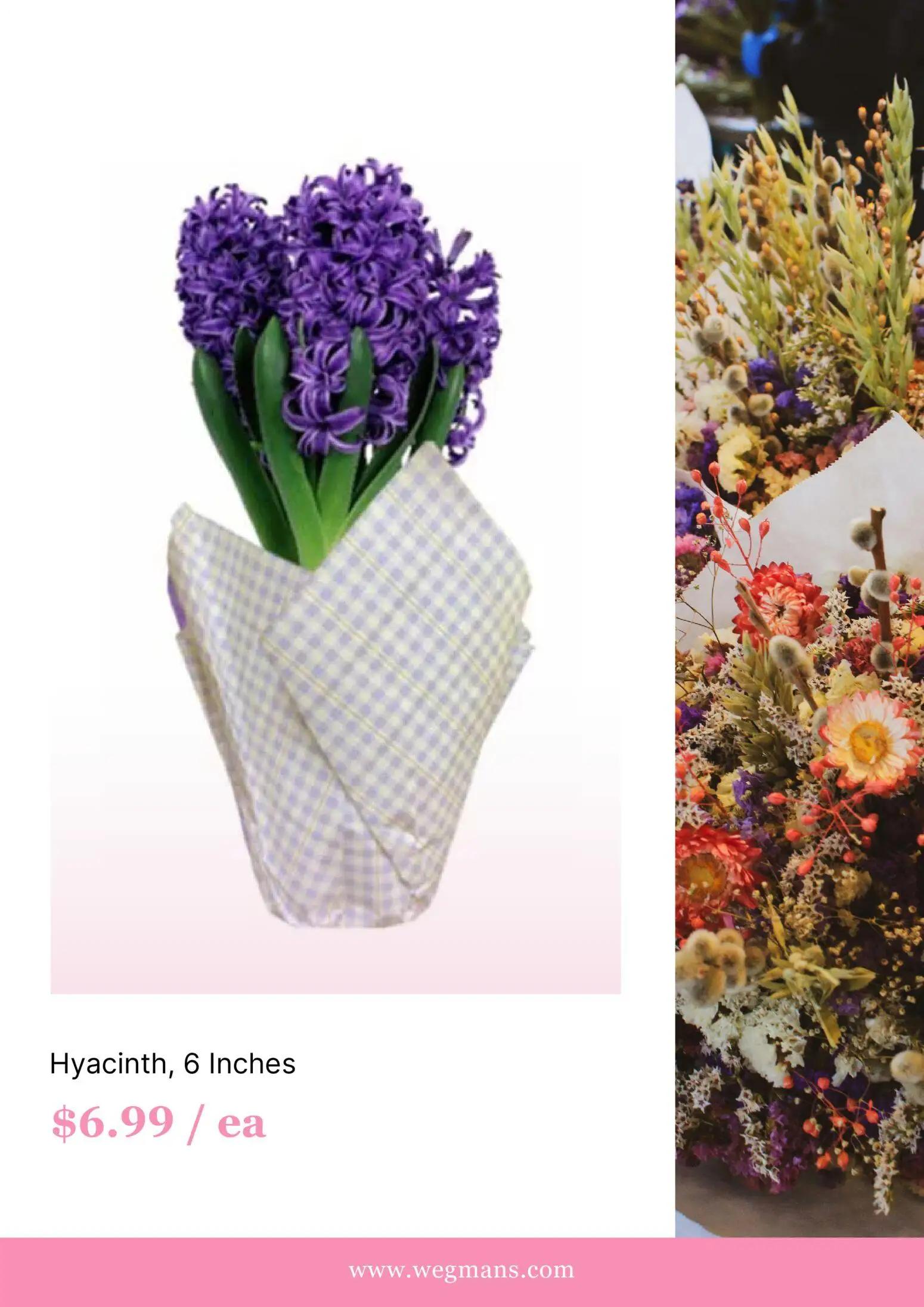 wegmans - Wegmans Weekly Ad - from Wednesday 04/01 2026 - page: 5