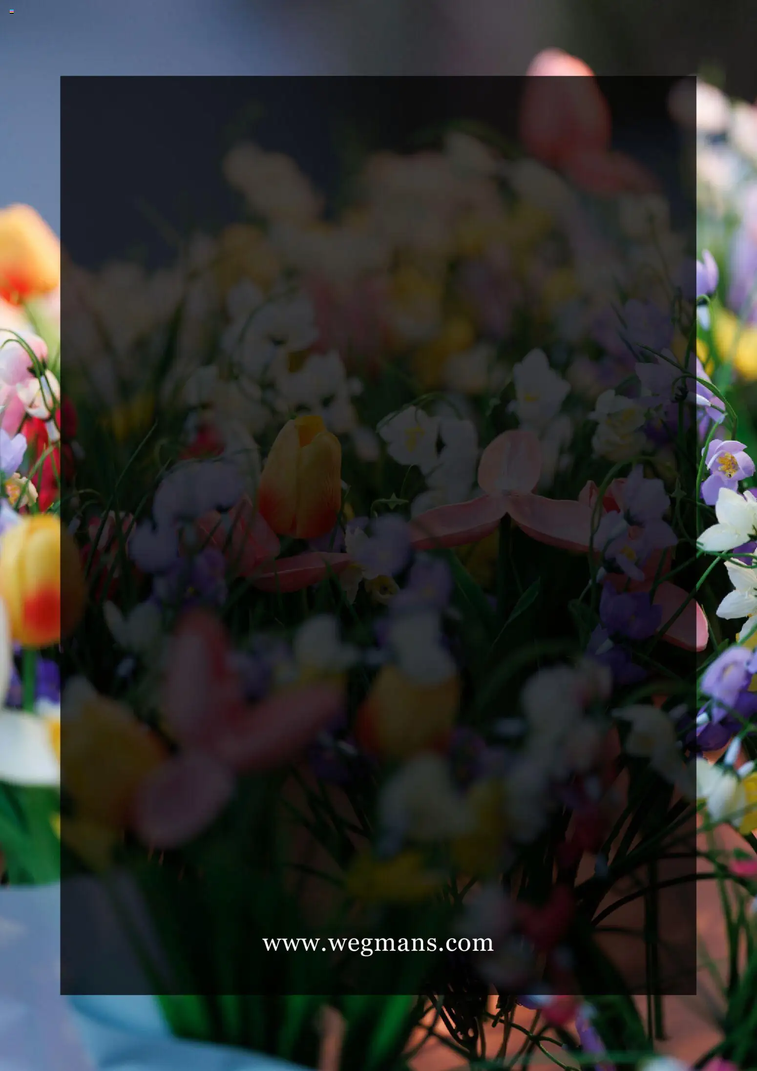 wegmans - Wegmans Weekly Ad - from Wednesday 04/01 2026 - page: 7