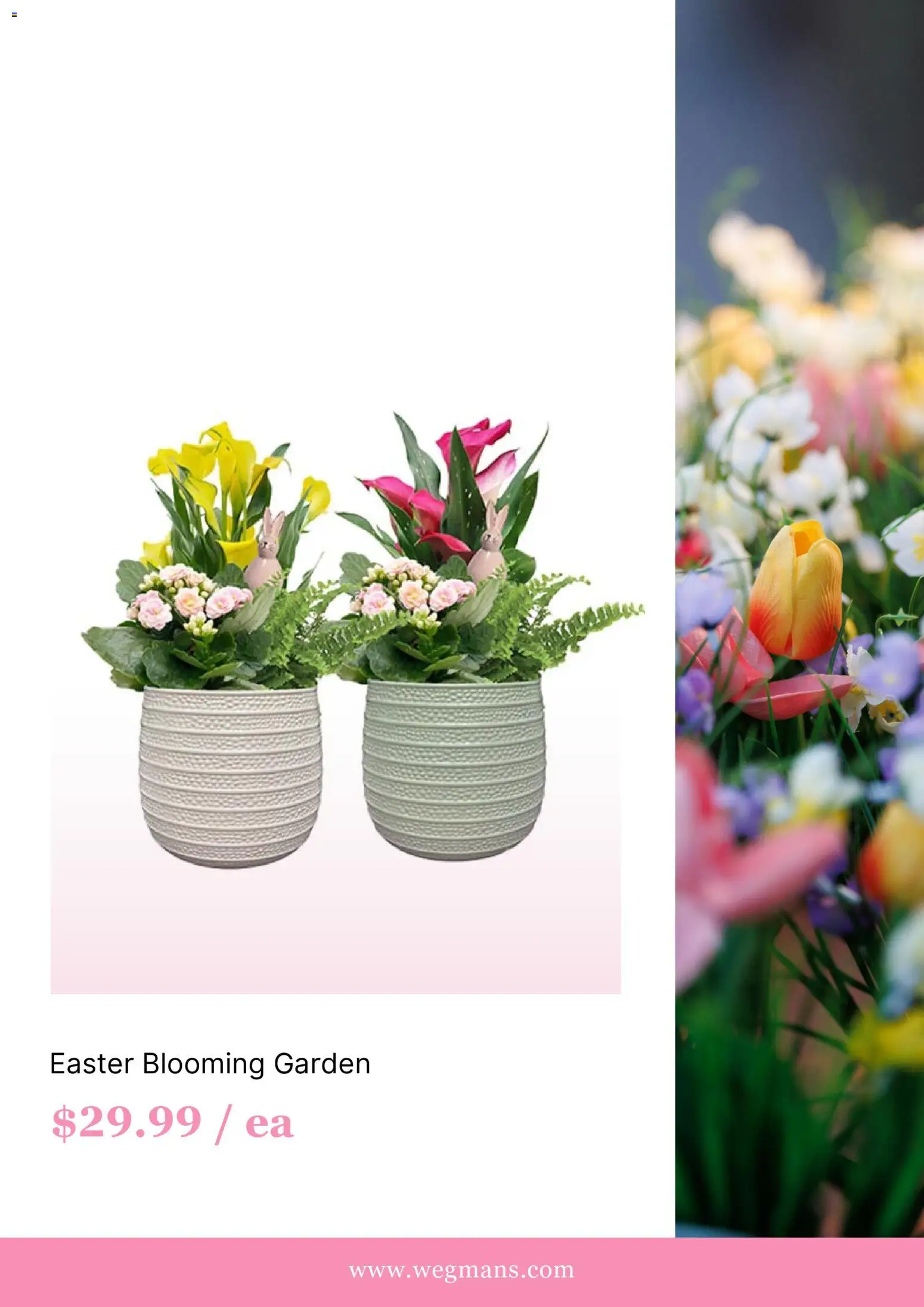 wegmans - Wegmans Weekly Ad - from Wednesday 04/01 2026 - page: 3