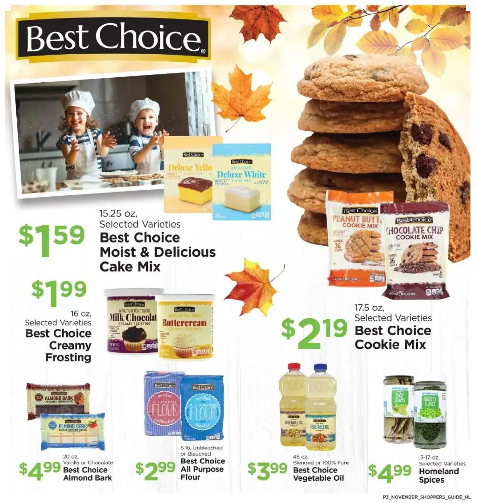 homeland - Homeland Bring Savings Home Shopper's Guide - 11/01 - 11/30 2025 - page: 3