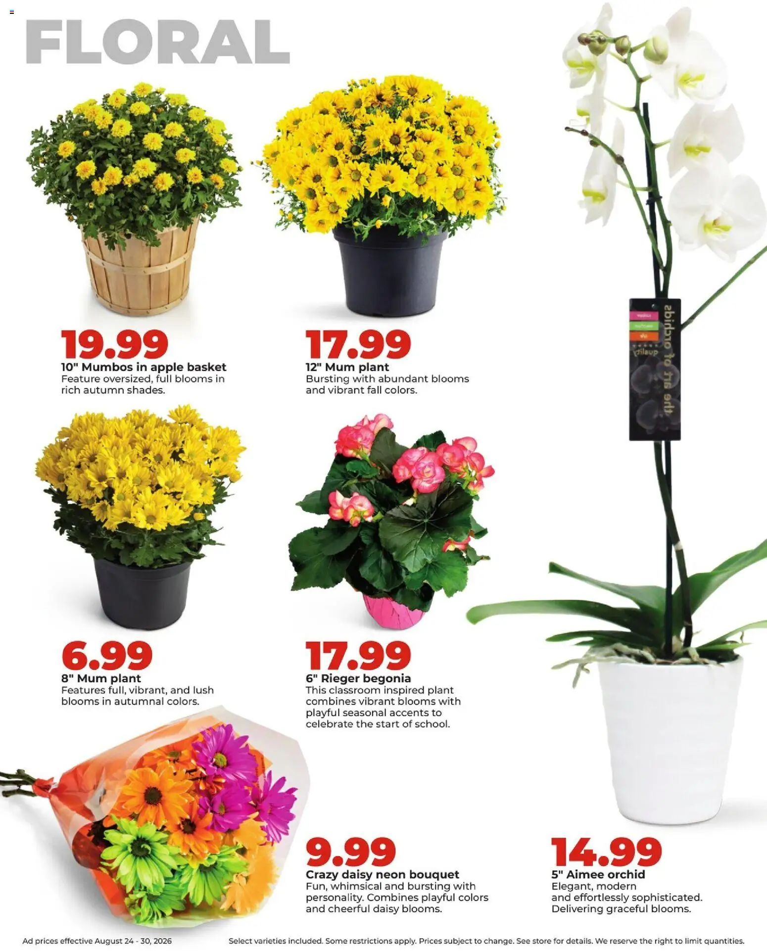 hyvee - HyVee Weekly Ad - 08/24 - 08/31 2026 - page: 30