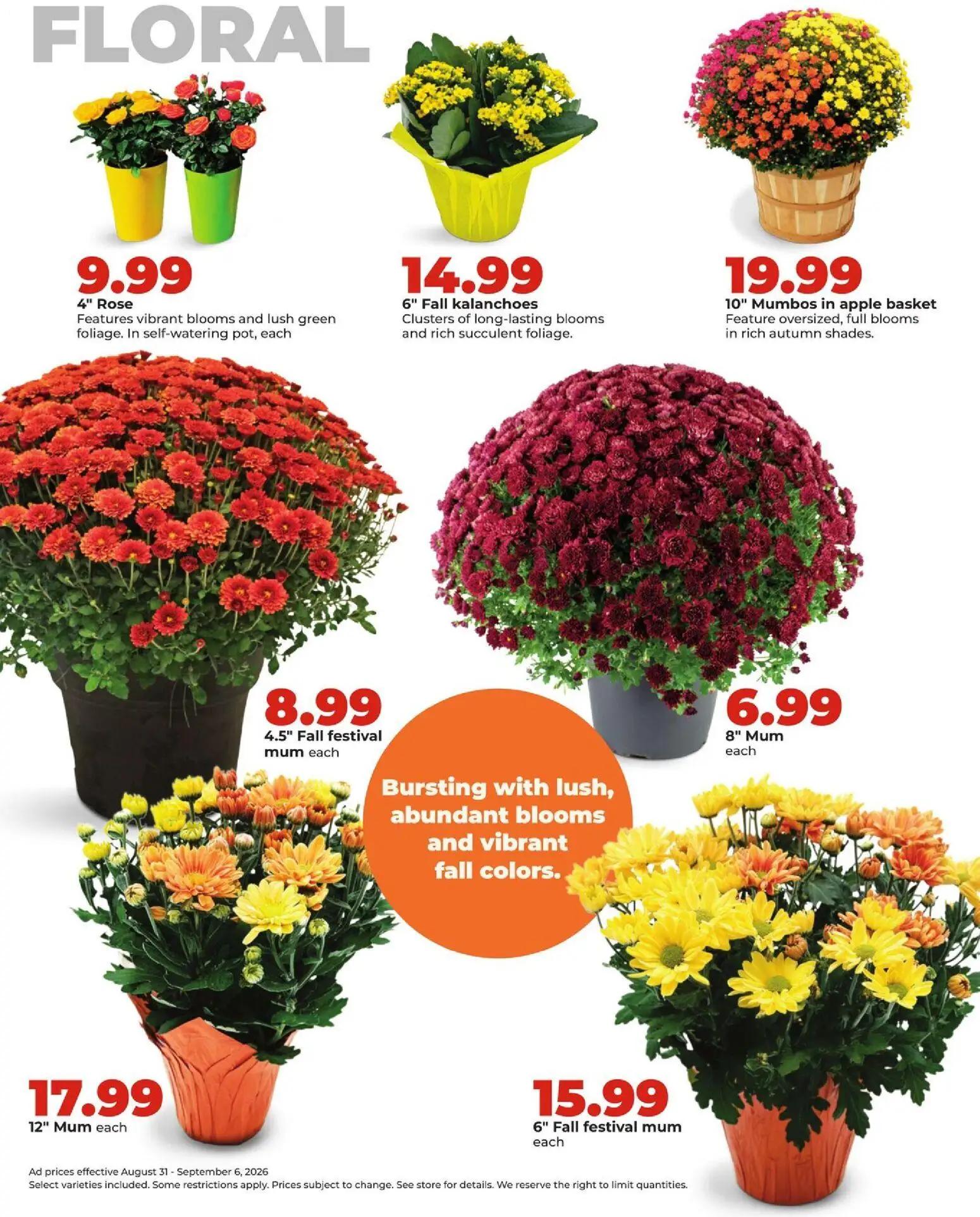 hyvee - HyVee Weekly Ad - 08/31 - 09/06 2026 - page: 37