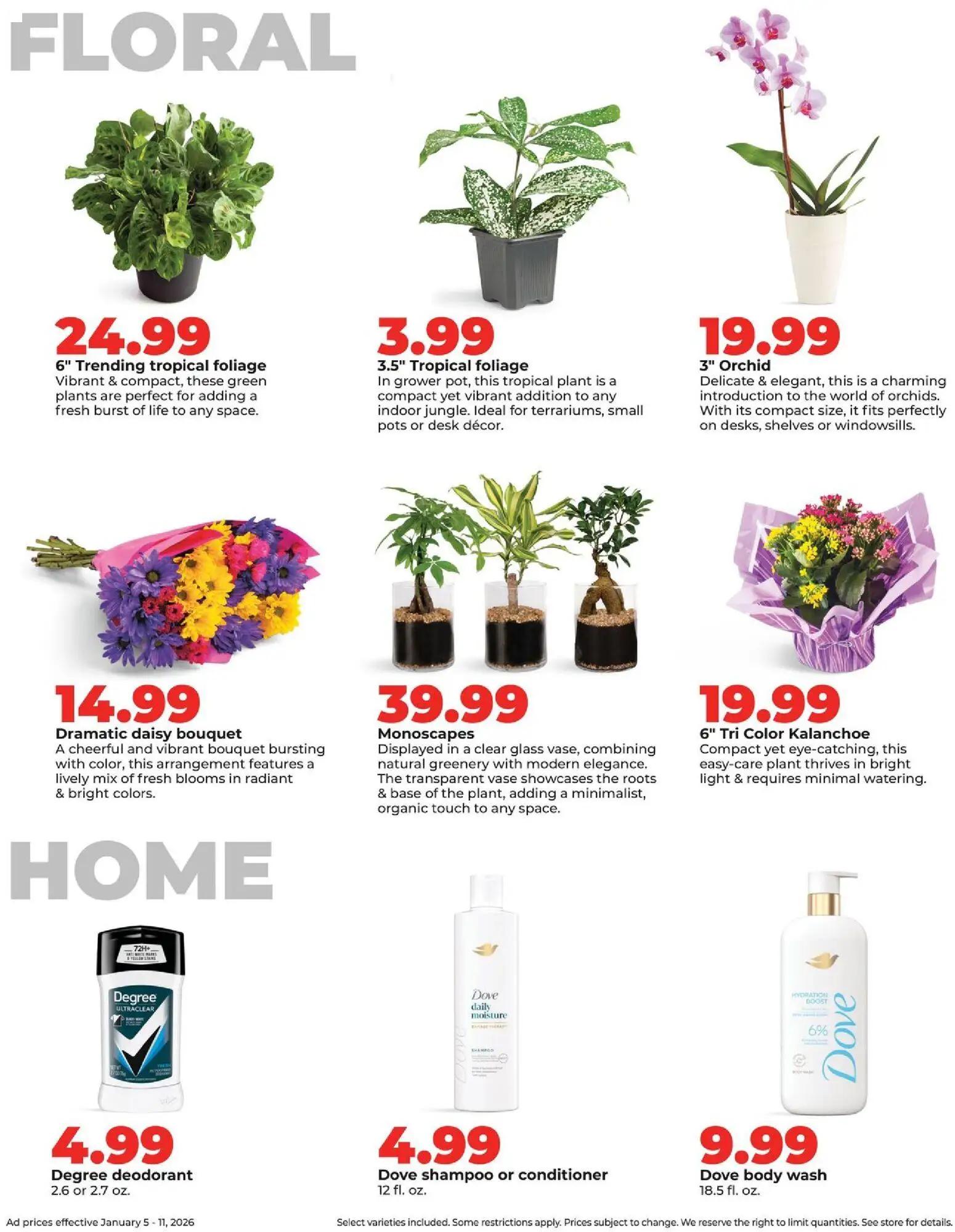 hyvee - HyVee Weekly Ad - 01/05 - 01/12 2026 - page: 37