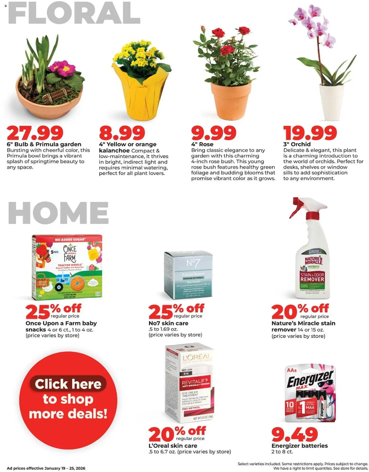 hyvee - HyVee Weekly Ad - 01/19 - 01/26 2026 - page: 33