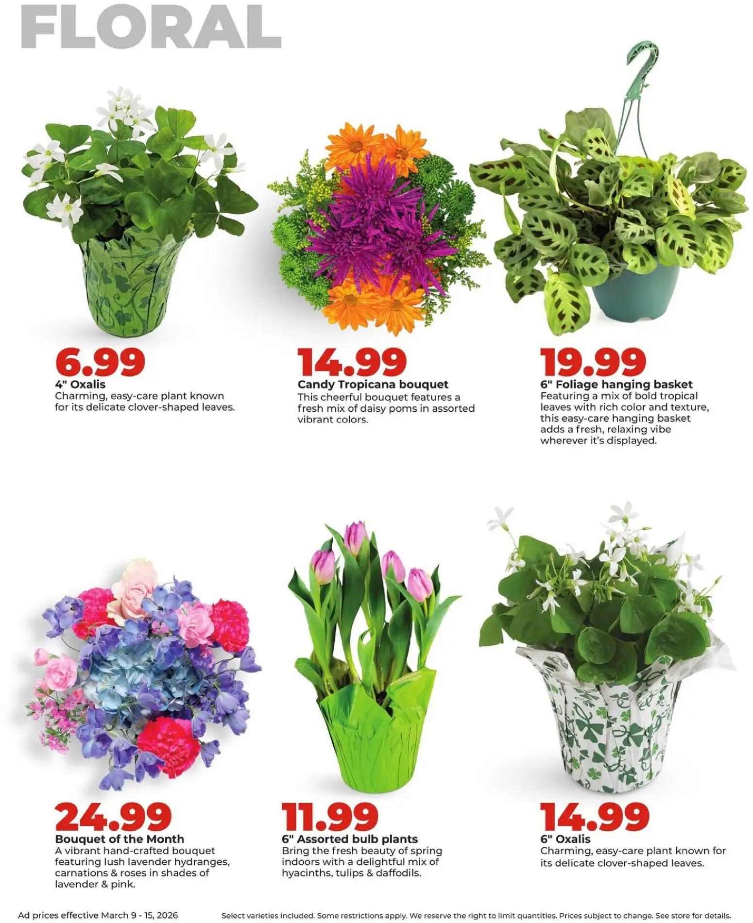 hyvee - HyVee Weekly Ad - 03/09 - 03/15 2026 - page: 36