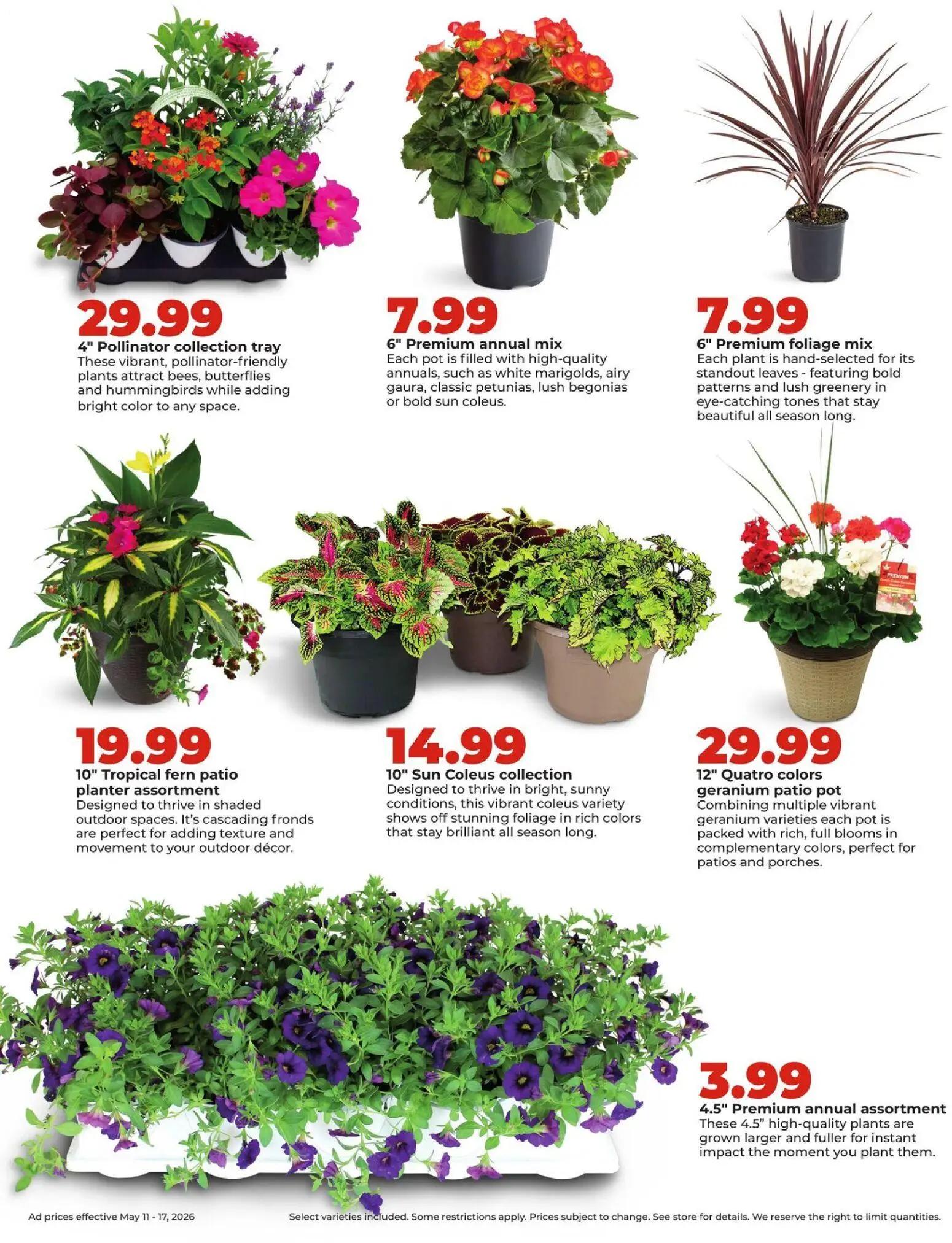 hyvee - HyVee Weekly Ad - 05/11 - 05/18 2026 - page: 33