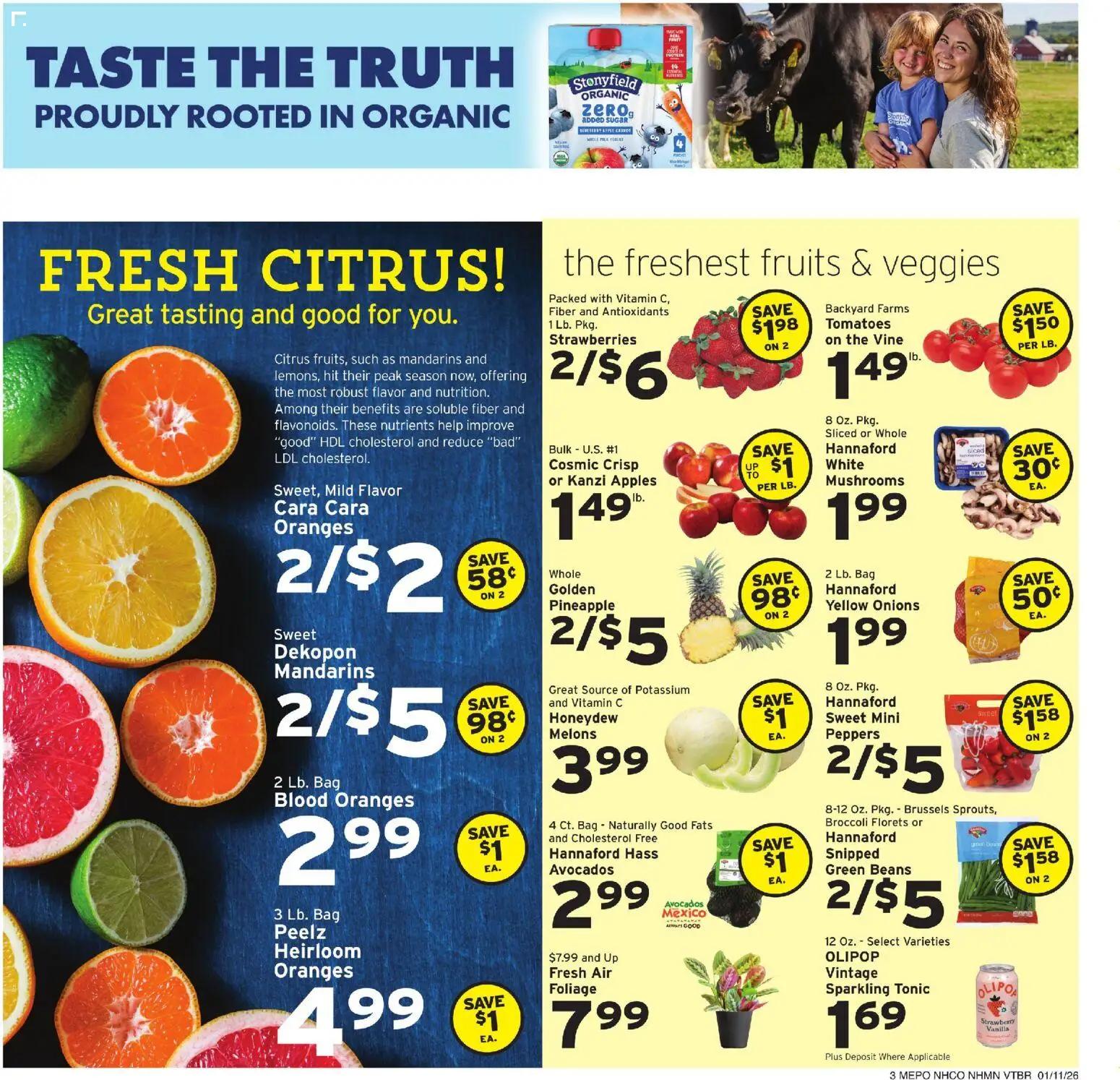 hannaford - Hannaford Weekly Ad - 01/11 - 01/17 2026 - page: 4