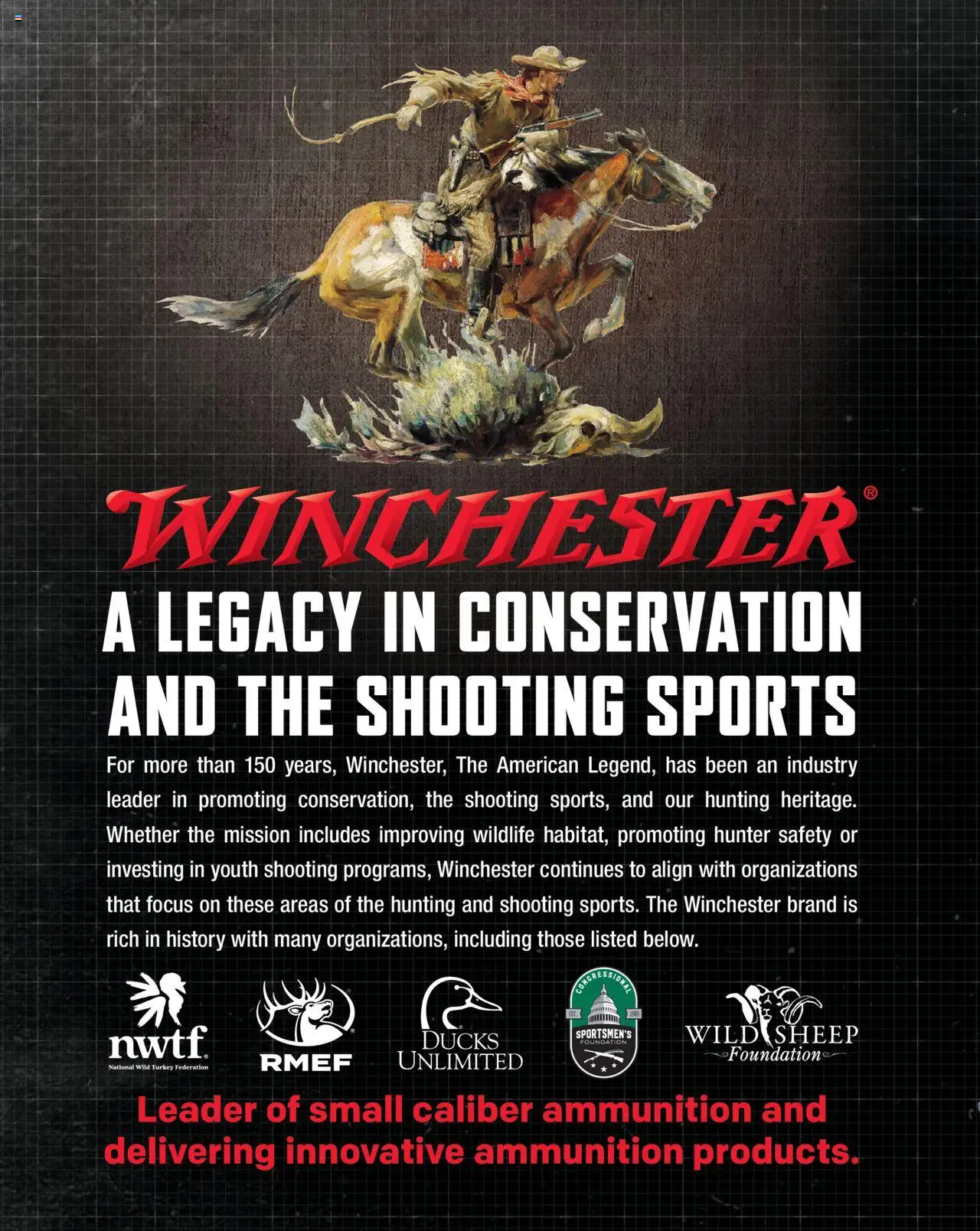 cabelas - Cabela's Hunting Master 25 - from Monday 08/11 2025 - page: 494