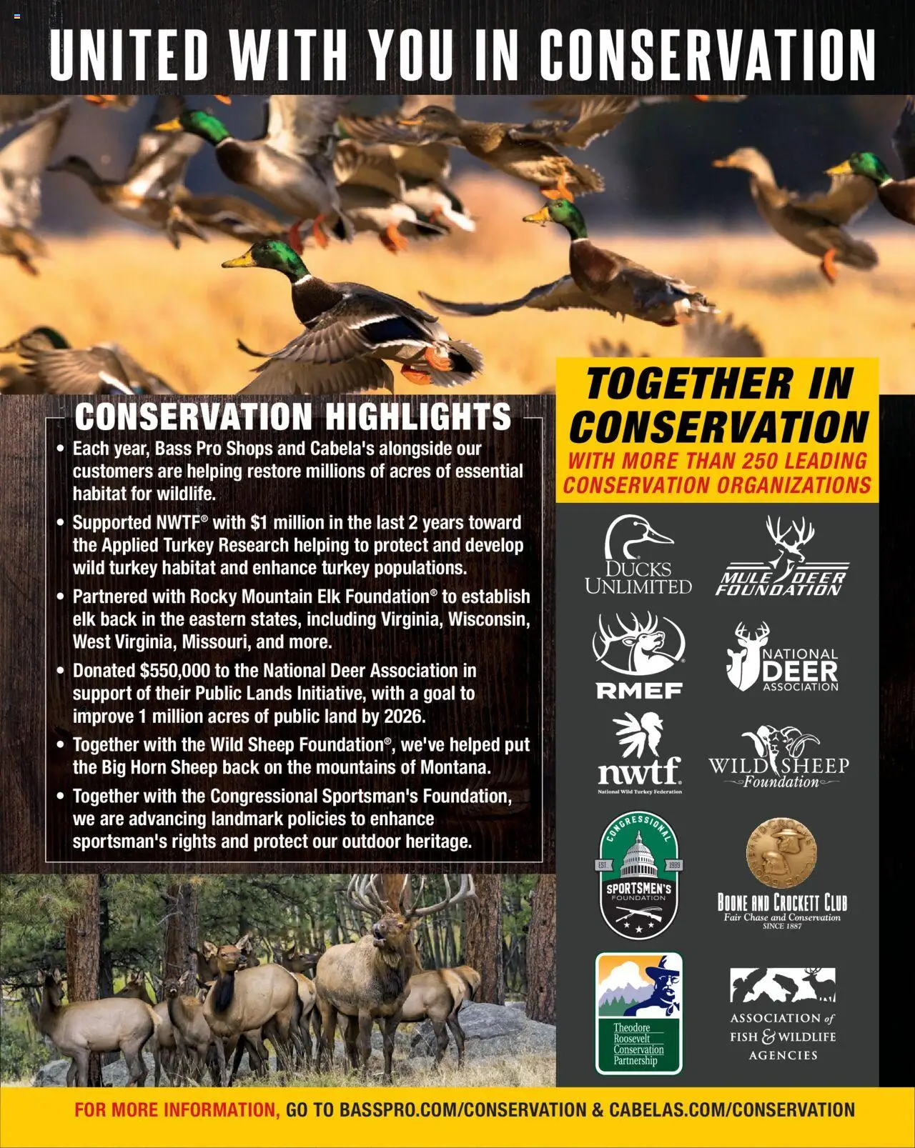 cabelas - Cabela's Hunting Master 25 - from Monday 08/11 2025 - page: 15