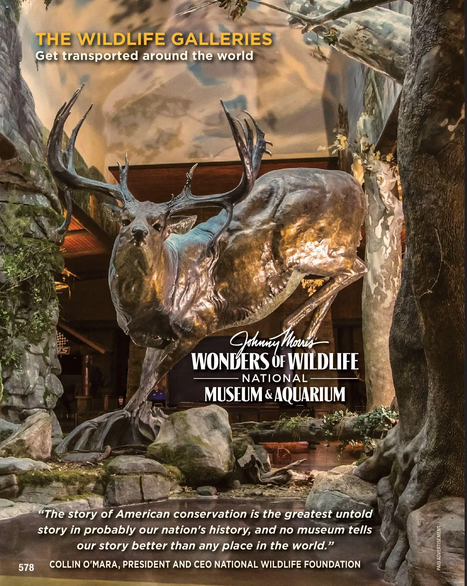 cabelas - Cabela's Spring Fishing Master 26 - from Thursday 01/22 2026 - page: 578