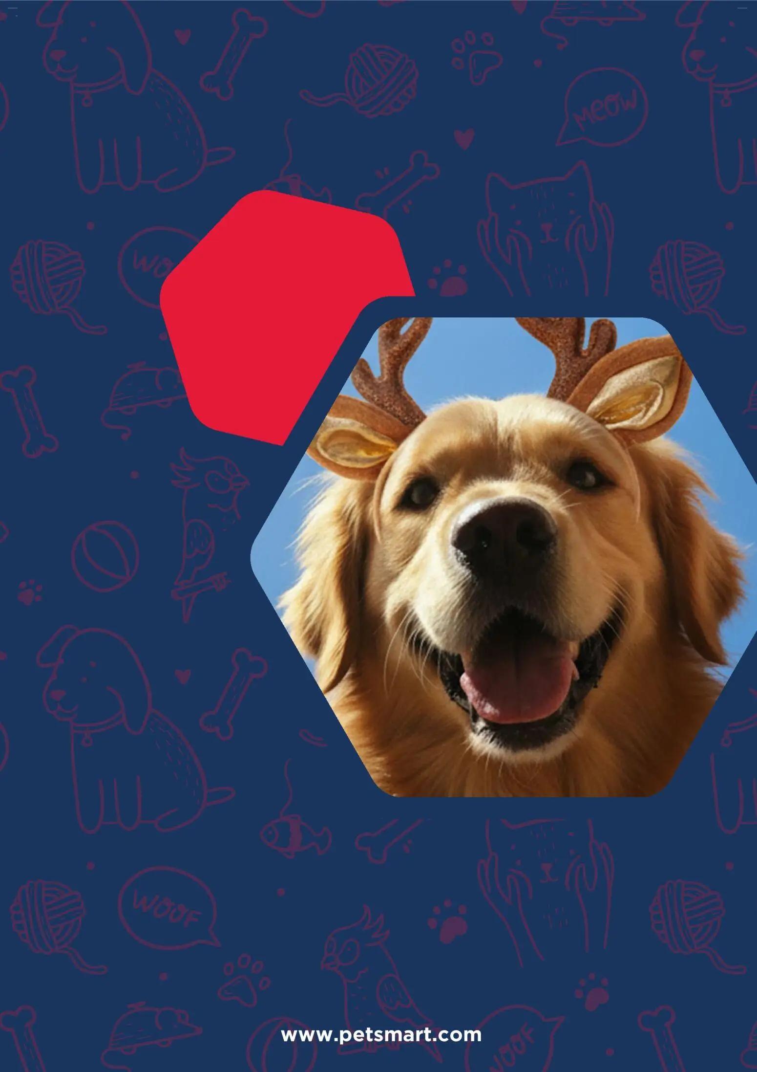 petsmart - Petsmart Weekly Ad - 12/08 - 12/14 2025 - page: 7